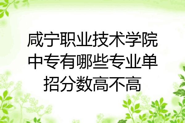 咸宁职业技术学院中专有哪些专业单招分数高不高