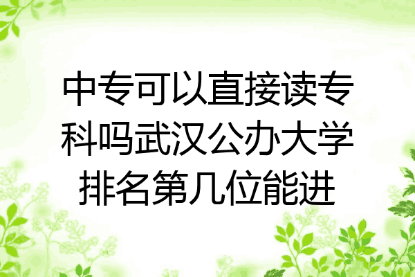 中专可以直接读专科吗武汉公办大学排名第几位能进