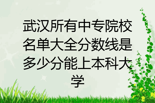武汉所有中专院校名单大全分数线是多少分能上本科大学