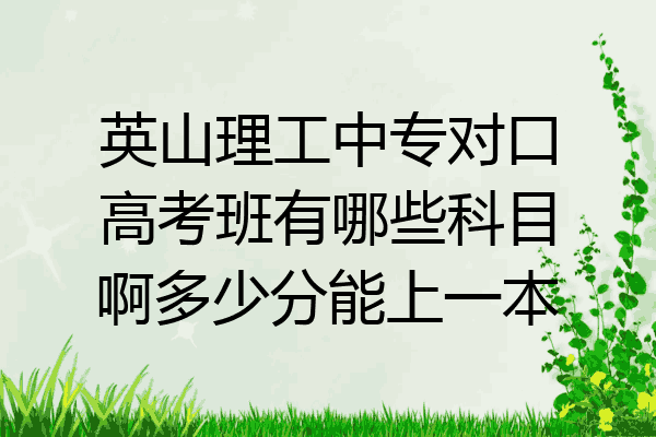 英山理工中专对口高考班有哪些科目啊多少分能上一本