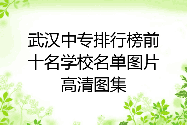 武汉中专排行榜前十名学校名单图片高清图集