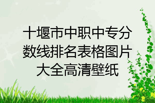十堰市中职中专分数线排名表格图片大全高清壁纸