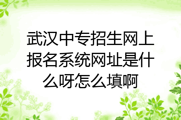 武汉中专招生网上报名系统网址是什么呀怎么填啊