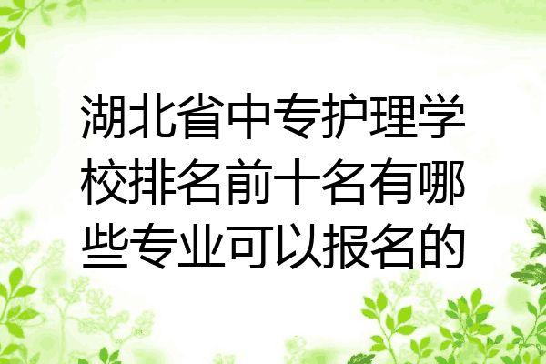 湖北省中专护理学校排名前十名有哪些专业可以报名的