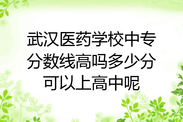 武汉医药学校中专分数线高吗多少分可以上高中呢