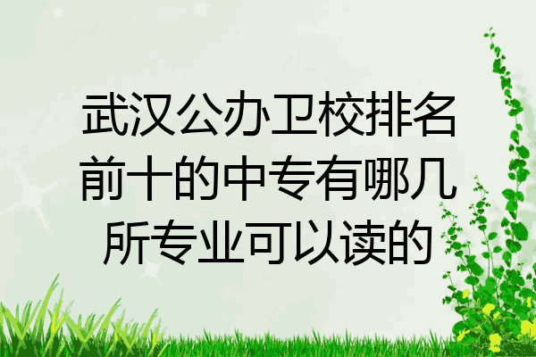武汉公办卫校排名前十的中专有哪几所专业可以读的