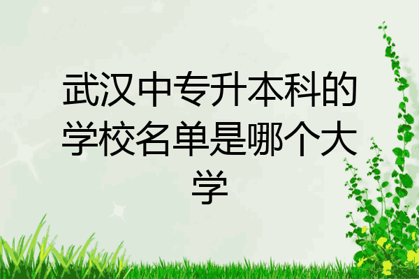 武汉中专升本科的学校名单是哪个大学