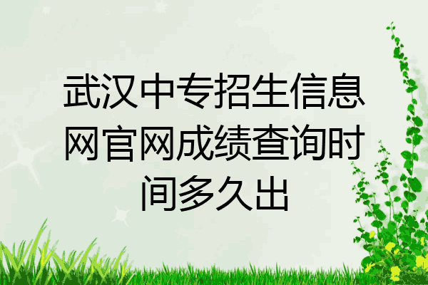 武汉中专招生信息网官网成绩查询时间多久出