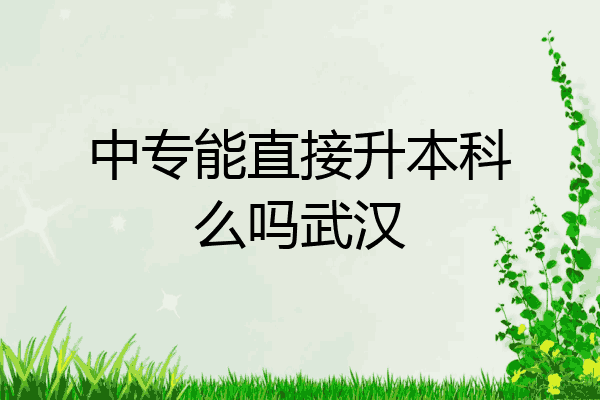 中专能直接升本科么吗武汉