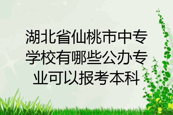 湖北省仙桃市中专学校有哪些公办专业可以报考本科