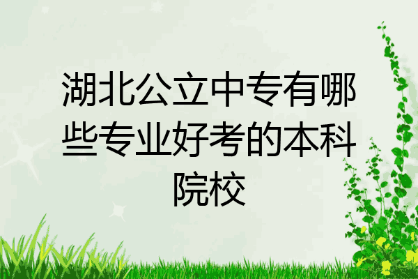 湖北公立中专有哪些专业好考的本科院校