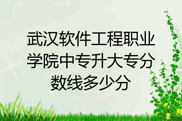 武汉软件工程职业学院中专升大专分数线多少分