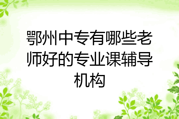 鄂州中专有哪些老师好的专业课辅导机构