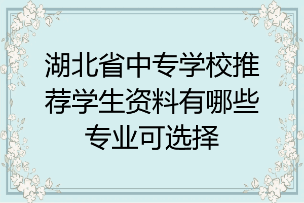 湖北省中专学校推荐学生资料有哪些专业可选择