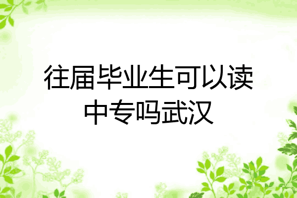 往届毕业生可以读中专吗武汉