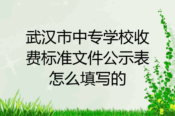 武汉市中专学校收费标准文件公示表怎么填写的
