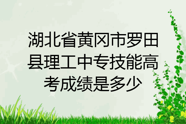 湖北省黄冈市罗田县理工中专技能高考成绩是多少