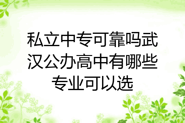 私立中专可靠吗武汉公办高中有哪些专业可以选