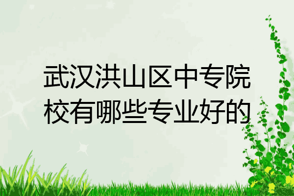 武汉洪山区中专院校有哪些专业好的