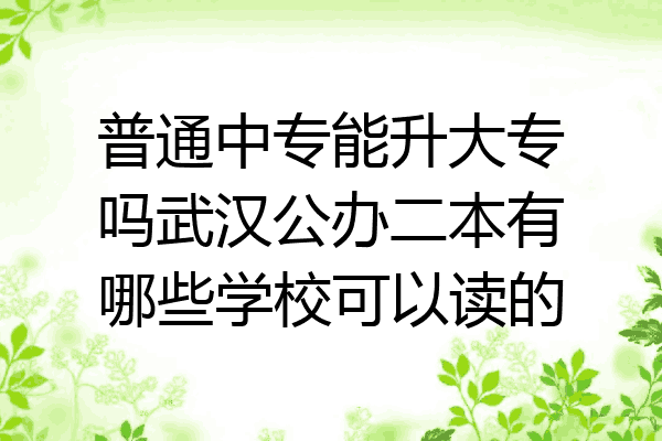 普通中专能升大专吗武汉公办二本有哪些学校可以读的