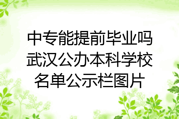 中专能提前毕业吗武汉公办本科学校名单公示栏图片