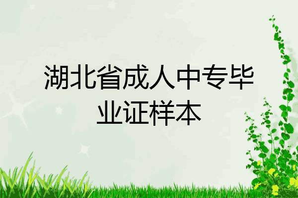 湖北省成人中专毕业证样本