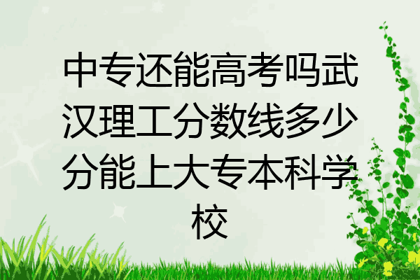 中专还能高考吗武汉理工分数线多少分能上大专本科学校