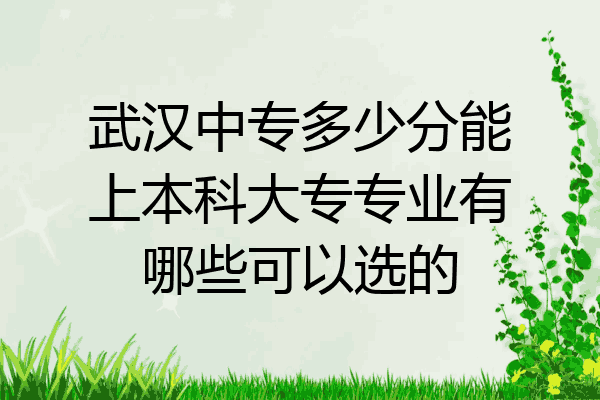 武汉中专多少分能上本科大专专业有哪些可以选的