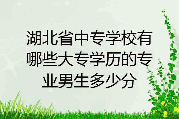 湖北省中专学校有哪些大专学历的专业男生多少分