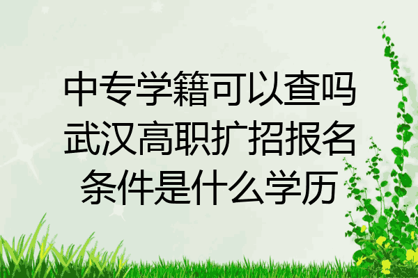 中专学籍可以查吗武汉高职扩招报名条件是什么学历