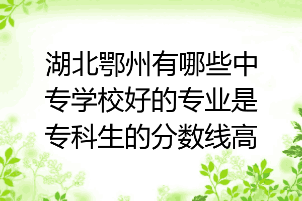 湖北鄂州有哪些中专学校好的专业是专科生的分数线高