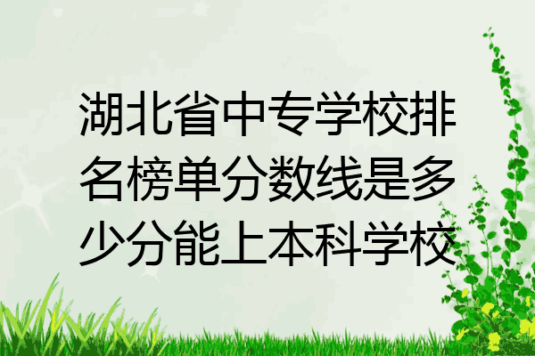 湖北省中专学校排名榜单分数线是多少分能上本科学校