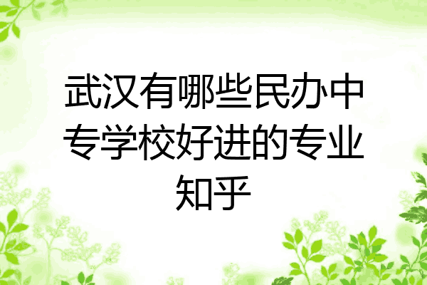 武汉有哪些民办中专学校好进的专业知乎
