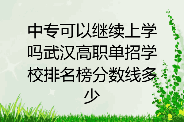 中专可以继续上学吗武汉高职单招学校排名榜分数线多少
