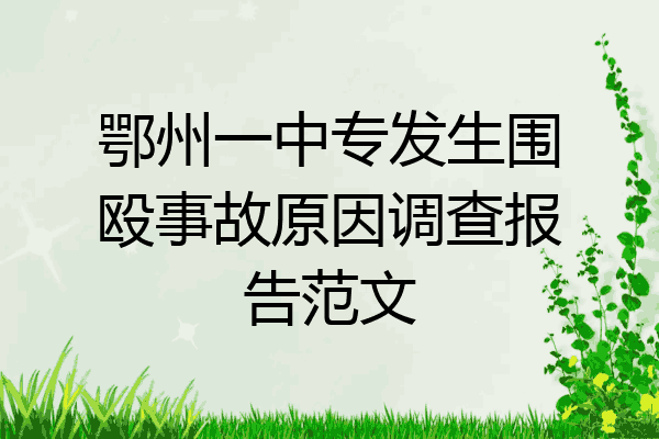 鄂州一中专发生围殴事故原因调查报告范文