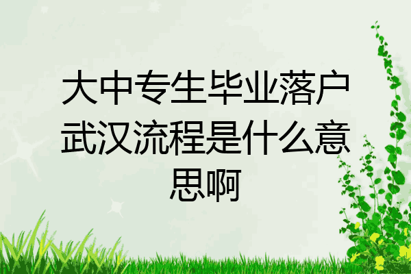 大中专生毕业落户武汉流程是什么意思啊