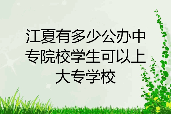 江夏有多少公办中专院校学生可以上大专学校