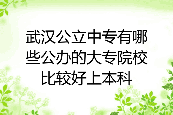 武汉公立中专有哪些公办的大专院校比较好上本科