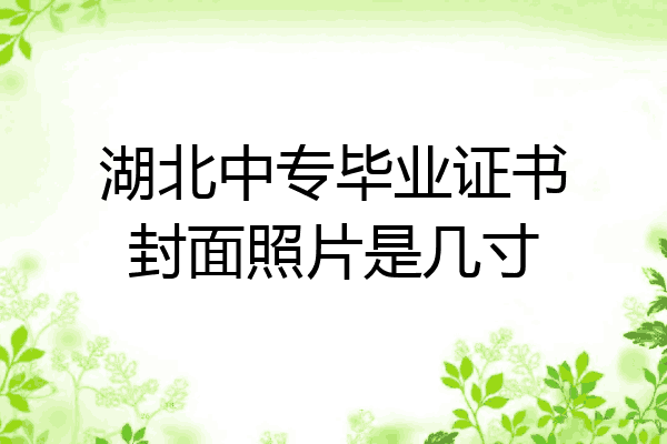 湖北中专毕业证书封面照片是几寸