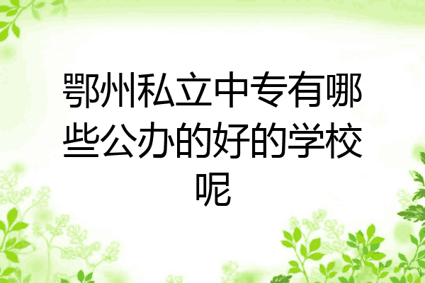 鄂州私立中专有哪些公办的好的学校呢