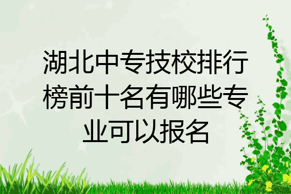 湖北中专技校排行榜前十名有哪些专业可以报名