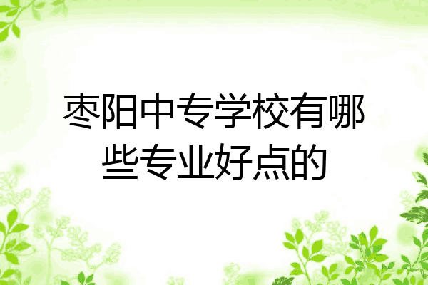 枣阳中专学校有哪些专业好点的