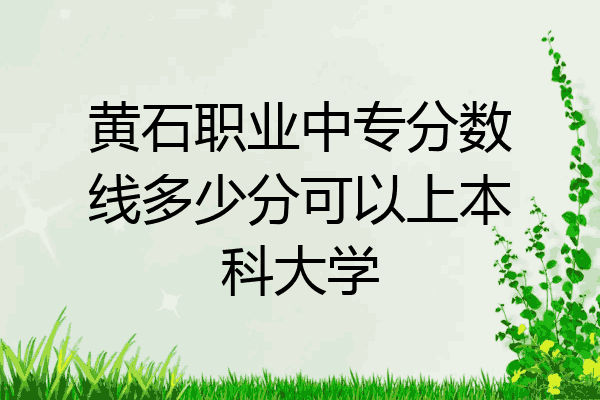 黄石职业中专分数线多少分可以上本科大学