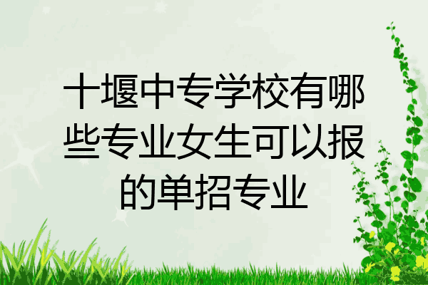 十堰中专学校有哪些专业女生可以报的单招专业