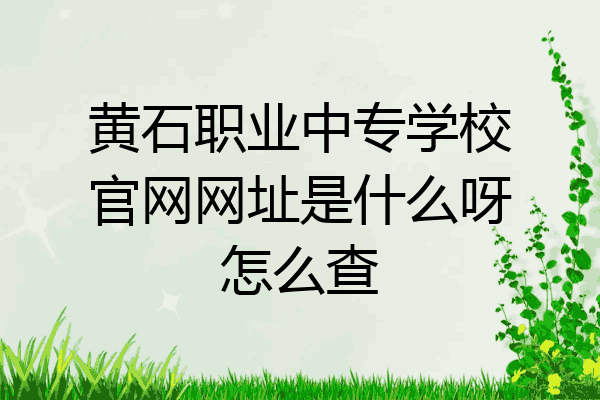黄石职业中专学校官网网址是什么呀怎么查