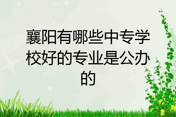 襄阳有哪些中专学校好的专业是公办的