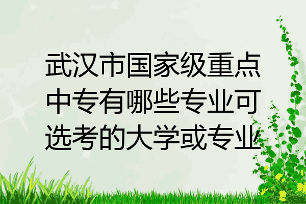 武汉市国家级重点中专有哪些专业可选考的大学或专业