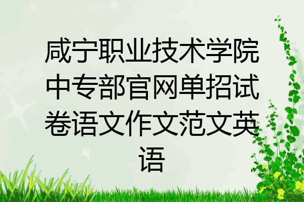 咸宁职业技术学院中专部官网单招试卷语文作文范文英语