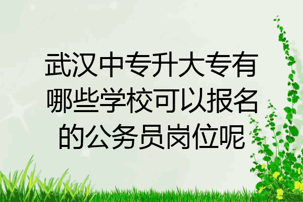 武汉中专升大专有哪些学校可以报名的公务员岗位呢