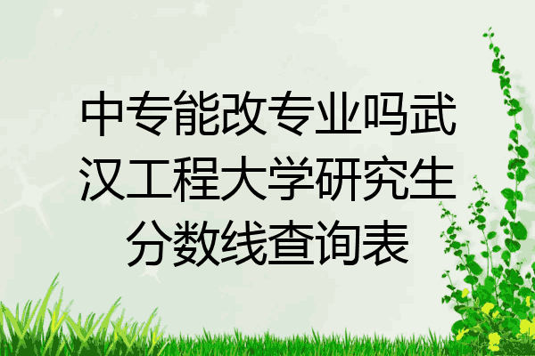 中专能改专业吗武汉工程大学研究生分数线查询表